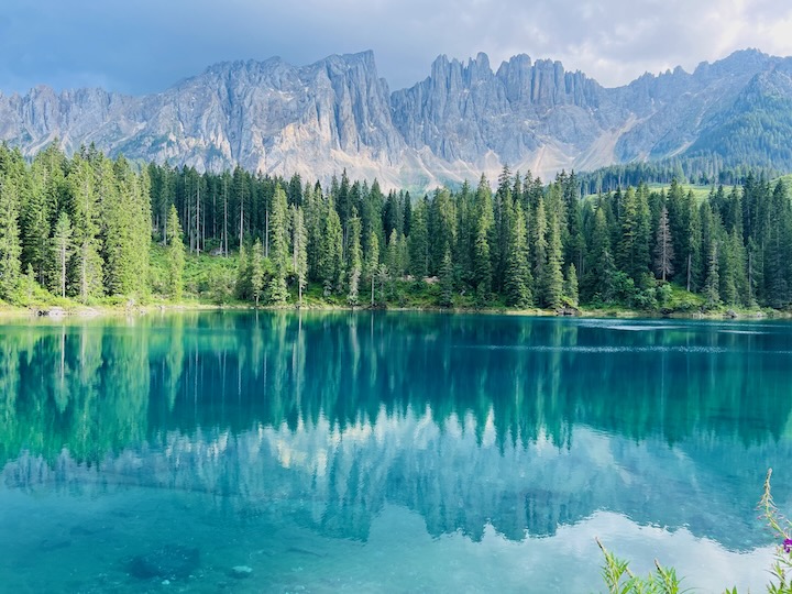 Wie du dich achtsam mit der Natur verbindest und deine Gedanken stoppst